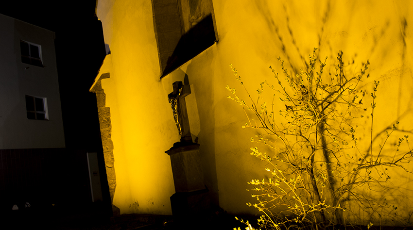 Okolo zlatého keře