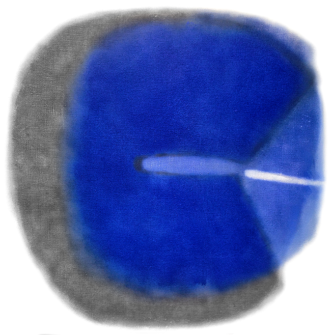 Bude přírodou IX  / Will Become Nature IX